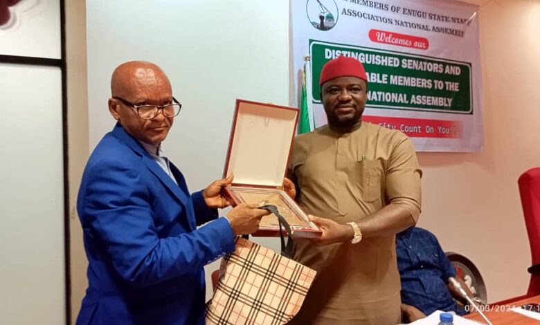 Enugu State Staff Association National Assembly Congratulates Hon. Sunday Cyriacus Umeha and Presents Award for Election Victory