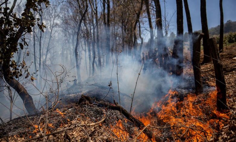 Mexico Fire